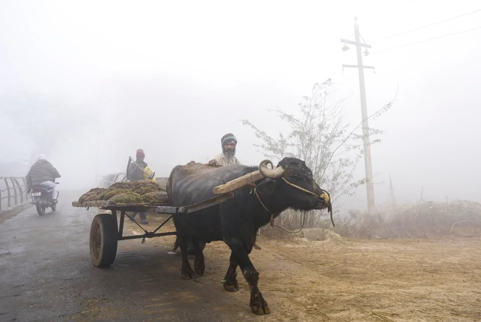 Punjab fog