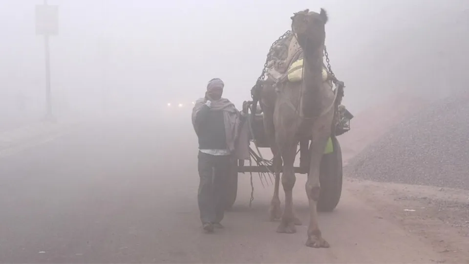 Rajasthan weather