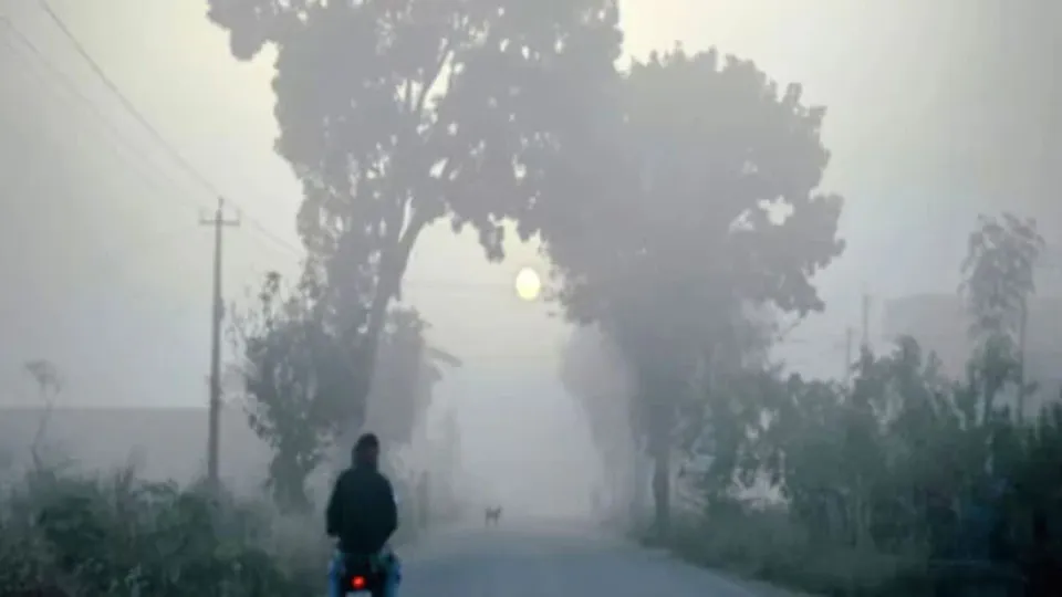 Rajasthan winter Fog image