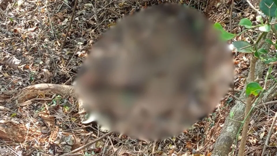 Uttara Kannada Cow Slaughter