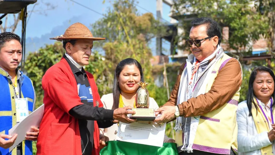 Chowna Mein Pineapple Festival Bagra