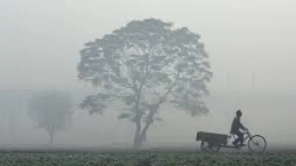 Climate Change image