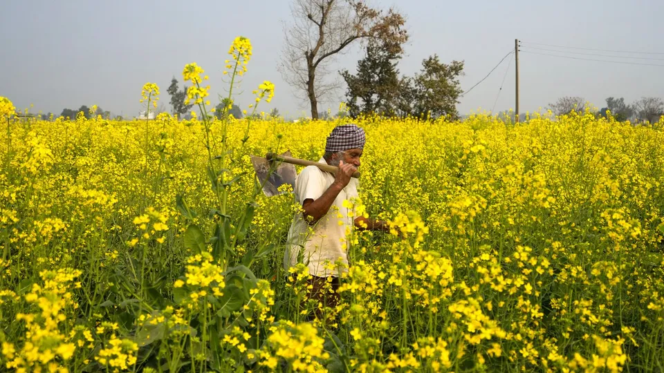 Union Budget Farmer image Agriculture image