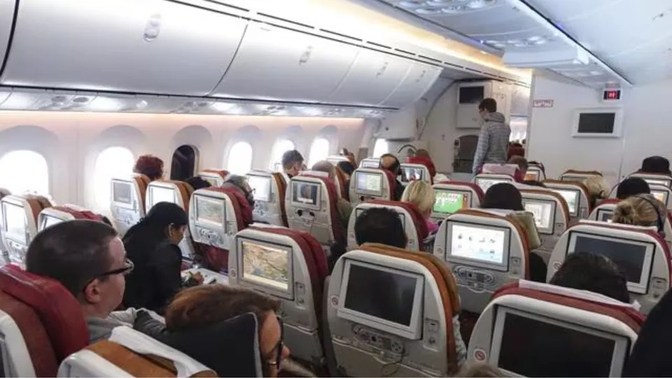 Air passenger image