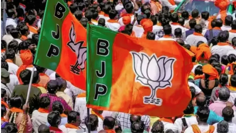 BJP flag image