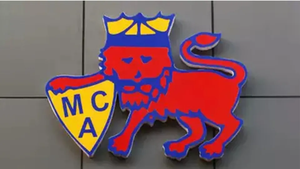 MCA image(1)