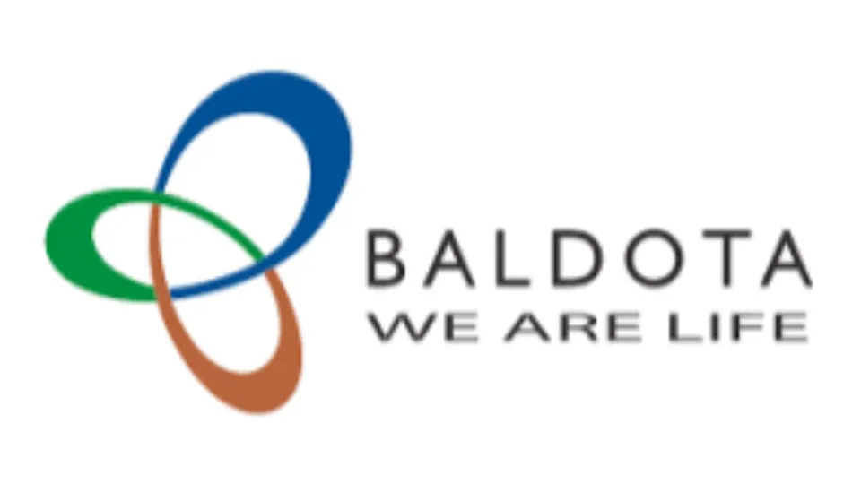Baldota group image