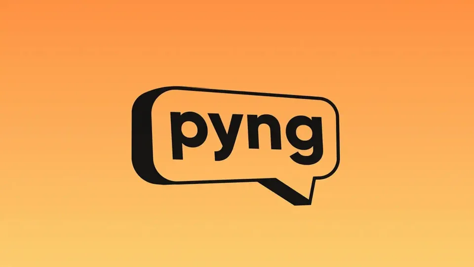 Swiggy Pyng