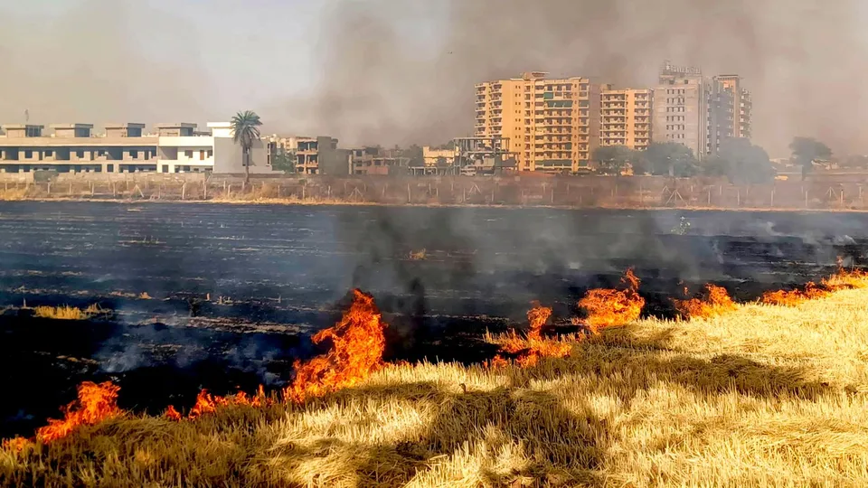 Stubble burning in Bhopal