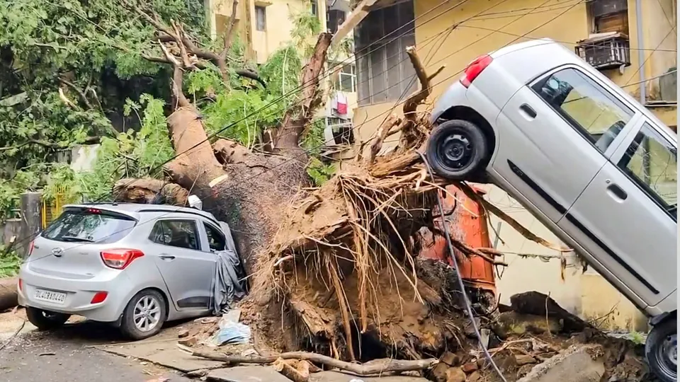 Cars damaged by an uprooted tree after strong winds and heavy rainfall, at Sheikh Sarai area in New Delhi.