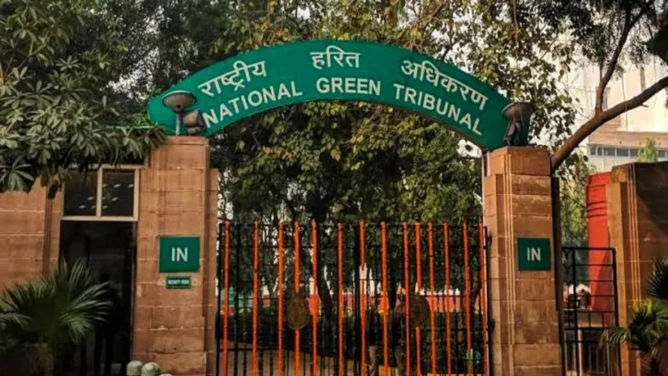 National Green Tribunal image