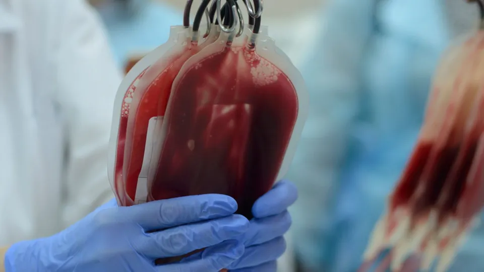 Blood Donation Blood Transfusion Blood Mismatch