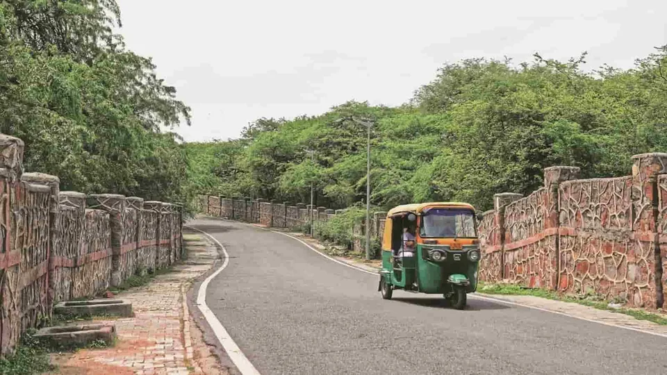Delhi ridge area image