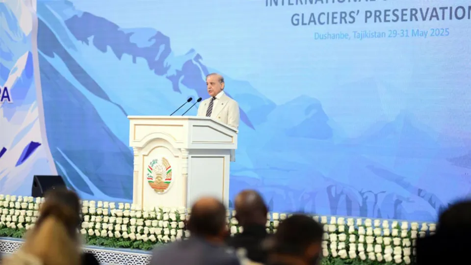 Pakistan PM Shehbaz Sharif image