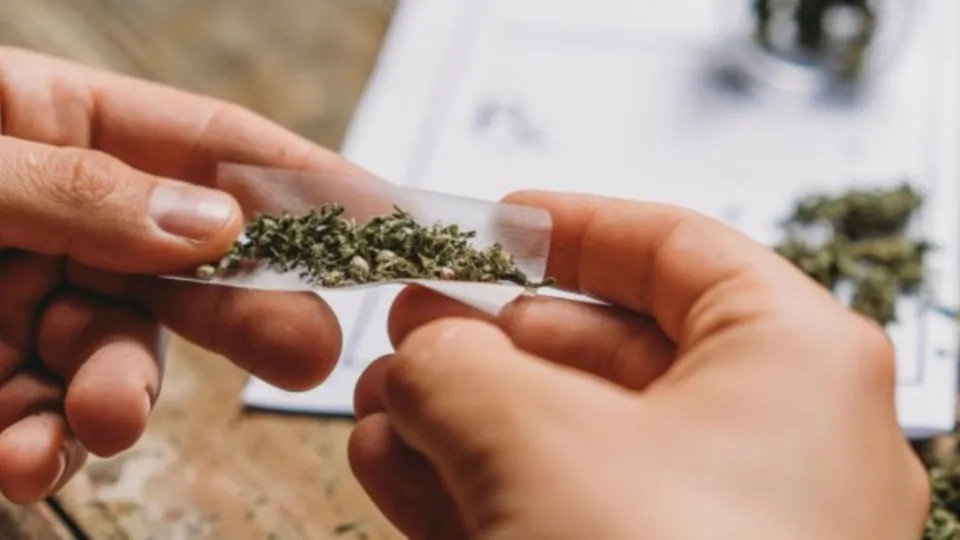 Ganja Seized Ganja Image Marijuana Weed Drugs Smuggling Drugs Seized
