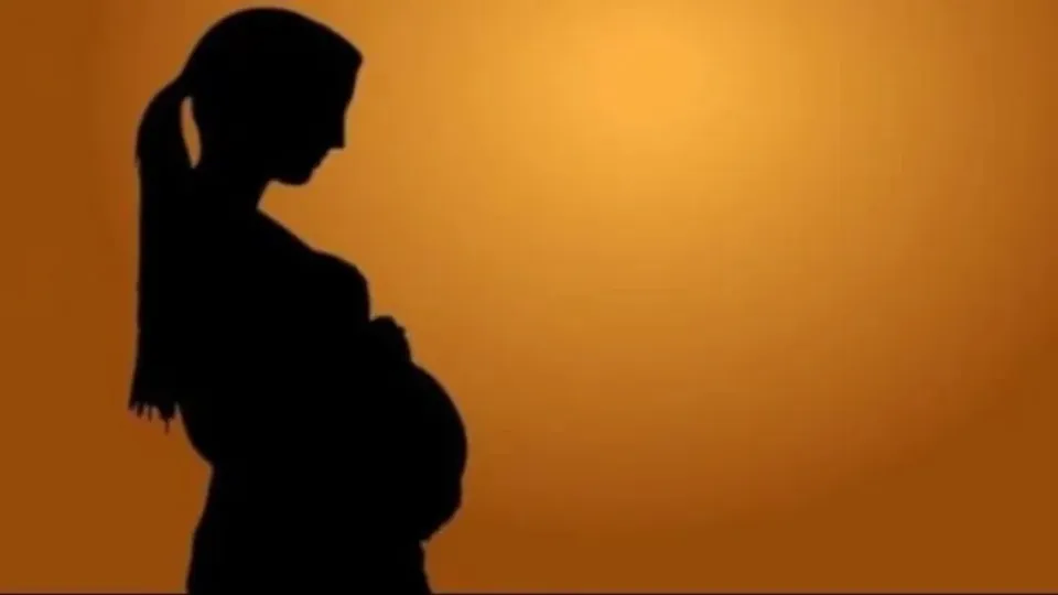 Pregnancy Pregnant Woman