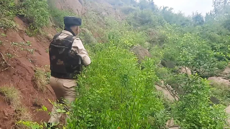 A security personnel during a search operation after an encounter broke out between security forces and terrorists in a remote forested area, in Jammu and Kashmir's Udhampur district, Thursday, June 26, 2025.