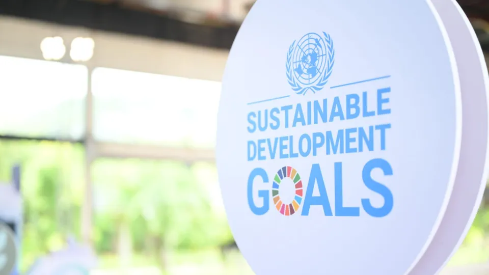 Sustainable Development Goals SDGs UNDP India