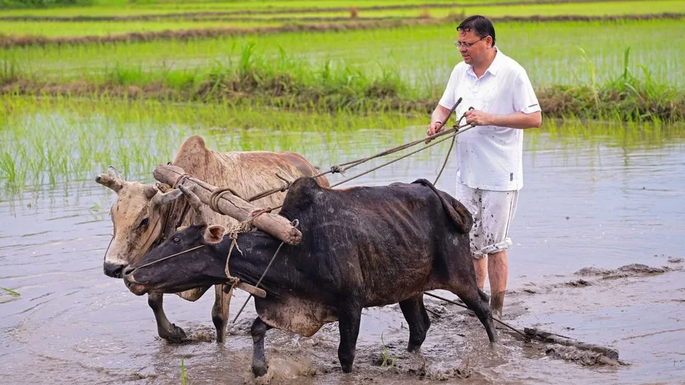 Pushkar Singh Dhami Farming