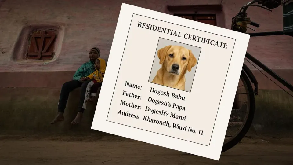 Nawada Dog Certificate Bihar SIR