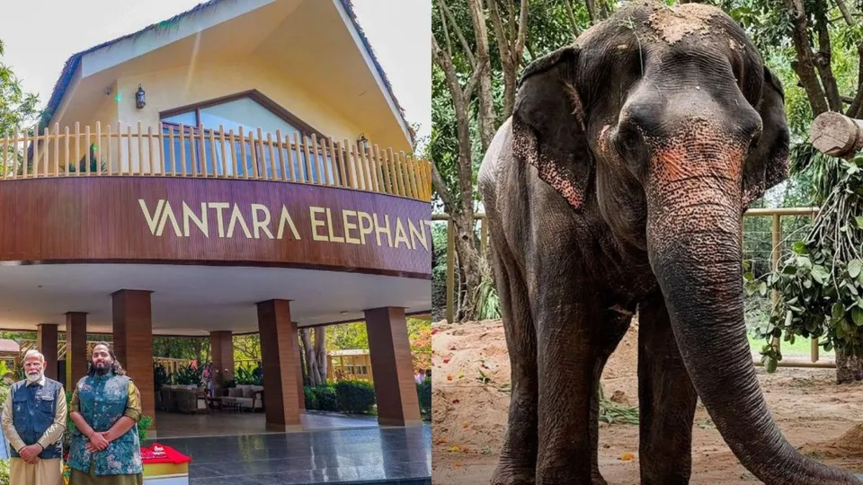 Mahadevi Elephant Madhuri