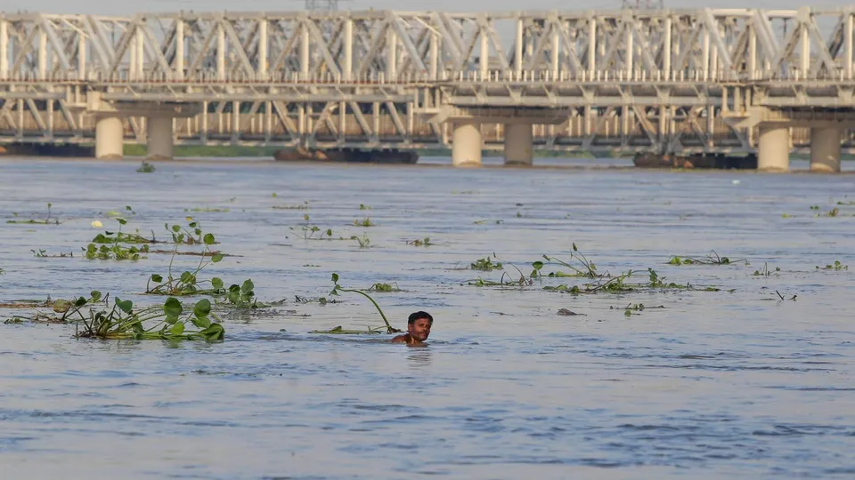Yamuna Water Level Yamuna River Yamuna Pollution