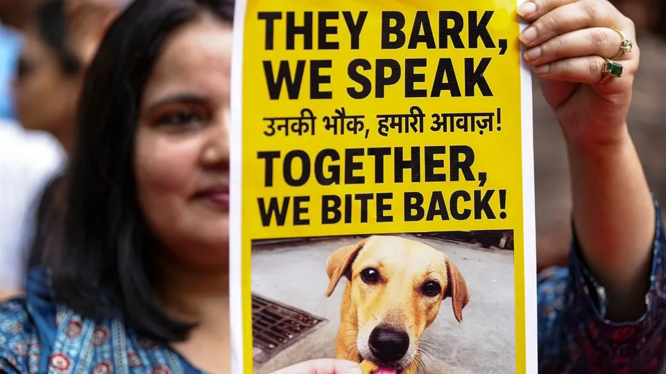 Stray Dogs Ban Protest Jantar Mantar Delhi