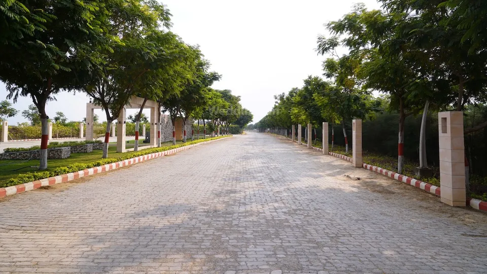 chattarpur farms