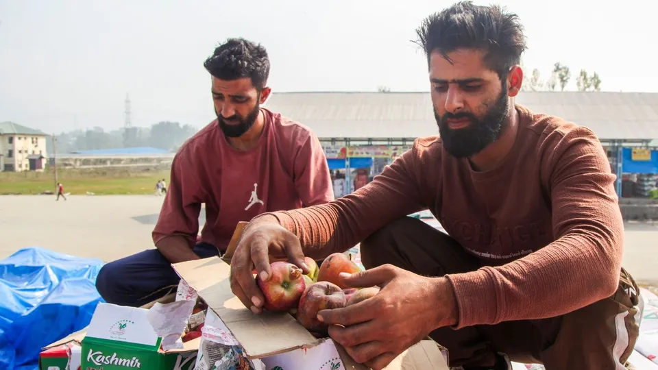 Kashmir Apple Trade