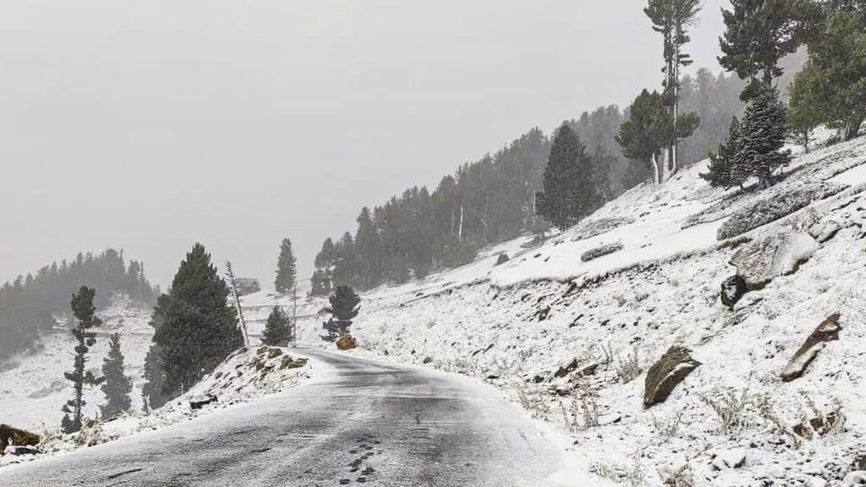 Jammu And Kashmir Snowfall Anantnag Snowfall