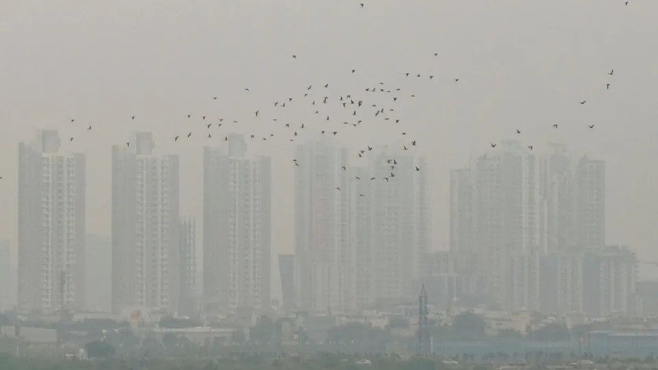 Gurugram Pollution Haryana Weather Haryana Winter