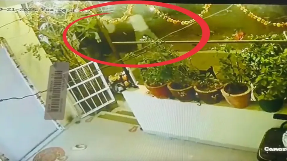 panna doctor thrashed