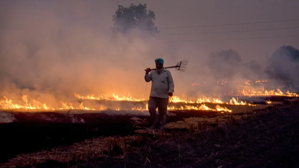 Stubble burning in Punjab Patiala
