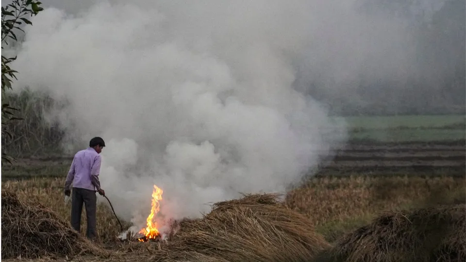 Stubble Burning in Uttar Pradesh
