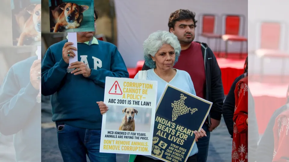 Stray Dogs Protest Jantar Mantar