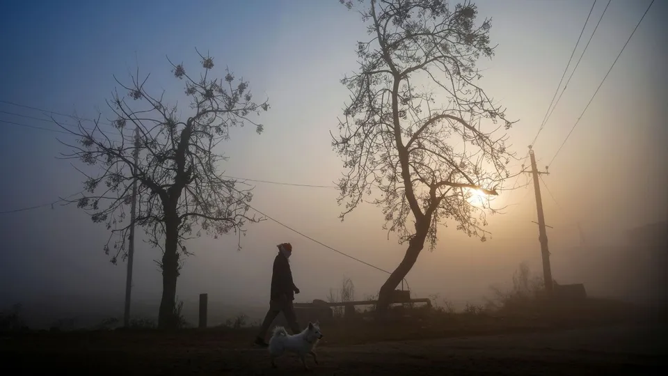Punjab Weather Haryana Weather Punjab Winters Haryana Winters Delhi Winter Fog image Raajsthan Weather