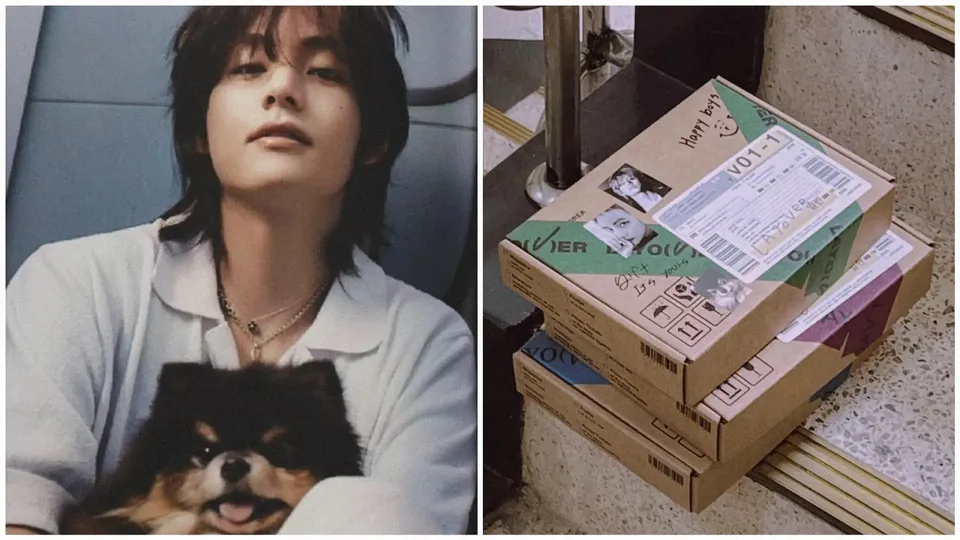BTS V Layover