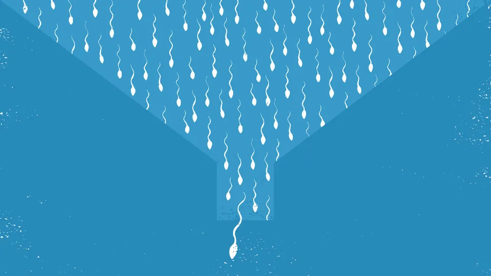 Sperm Count Infertility Reproduction Health