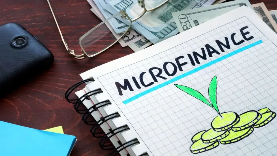 Microfinance market in India