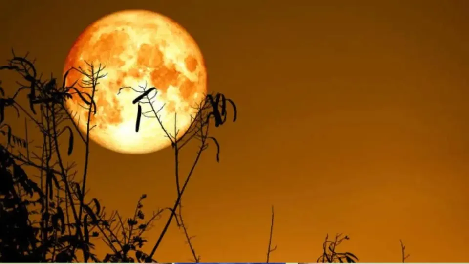 worm moon