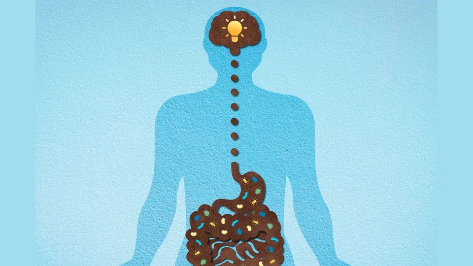 Alzheimer Gut disorder.jpg