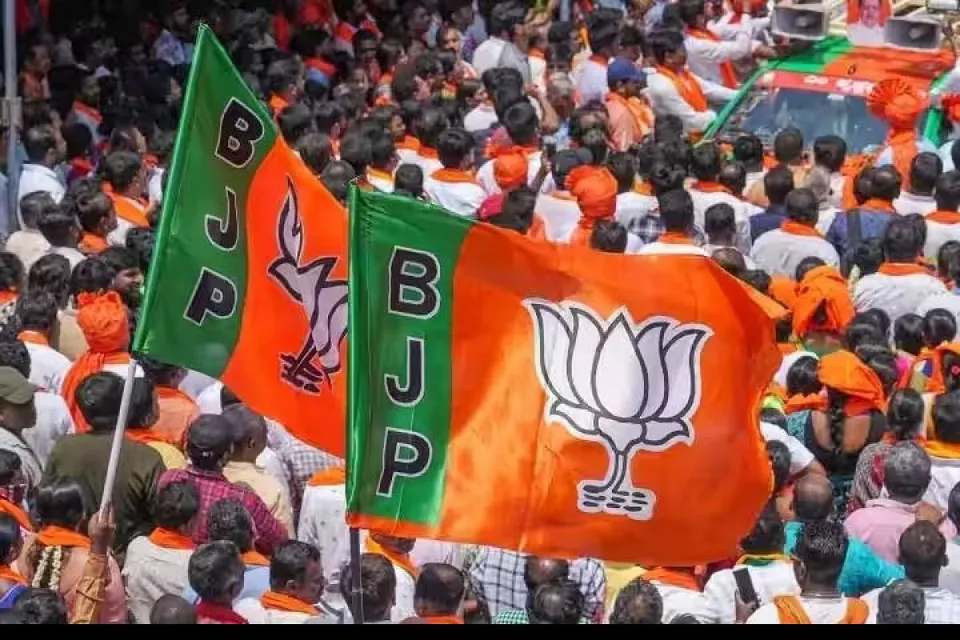 Bjp Flag Photo