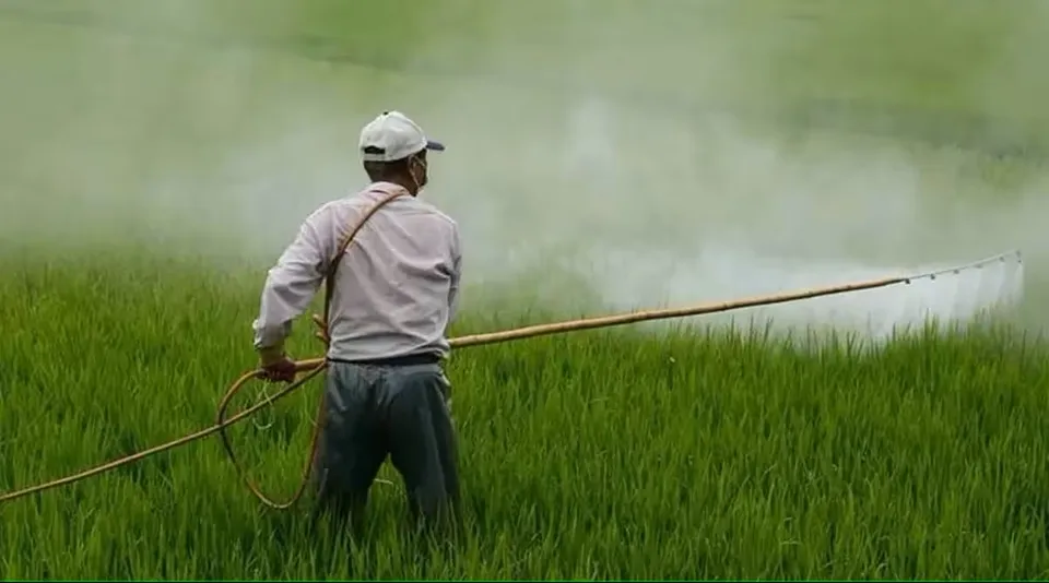 Deepak Fertilisers
