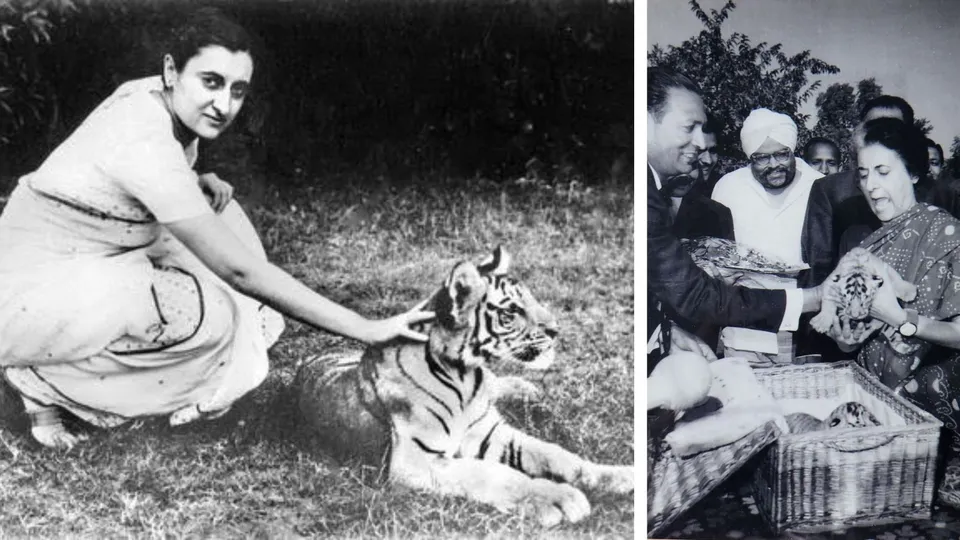File image of Former Prime Minister of India Indira Gandhi with Tigers