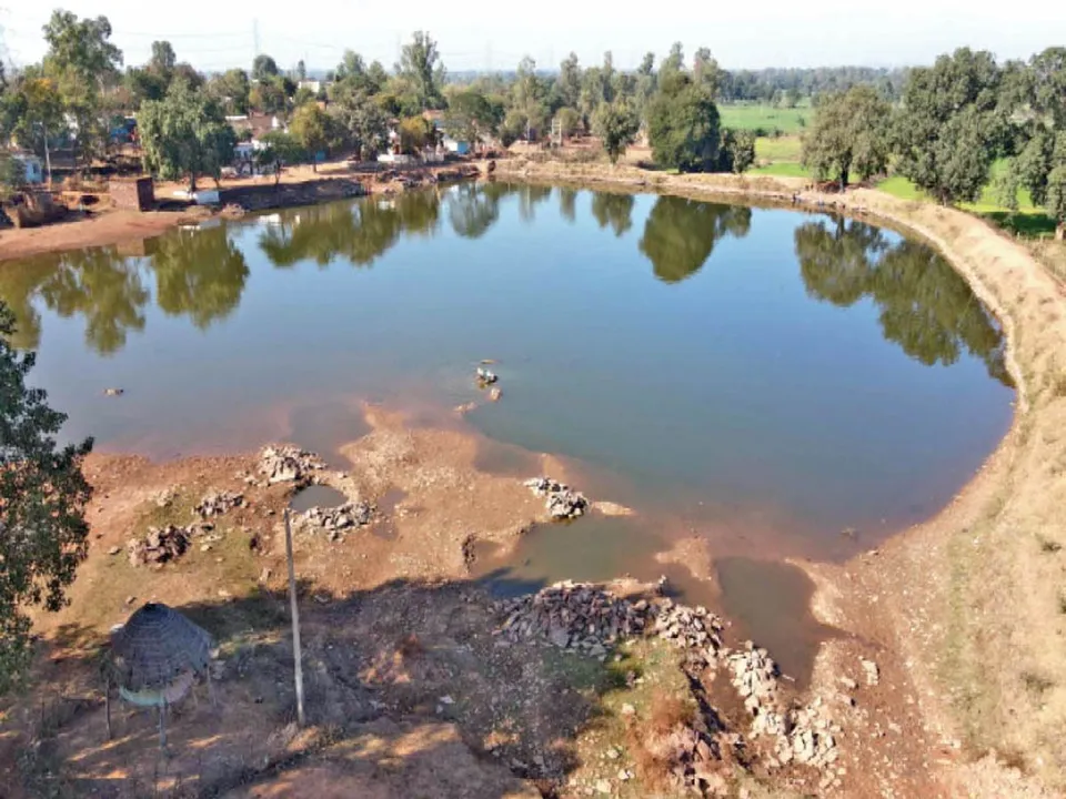 Pond Damoh.jpg