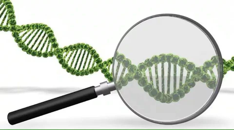DNA Technology bill