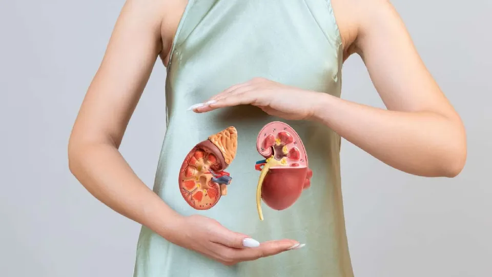Female organ donor.jpg