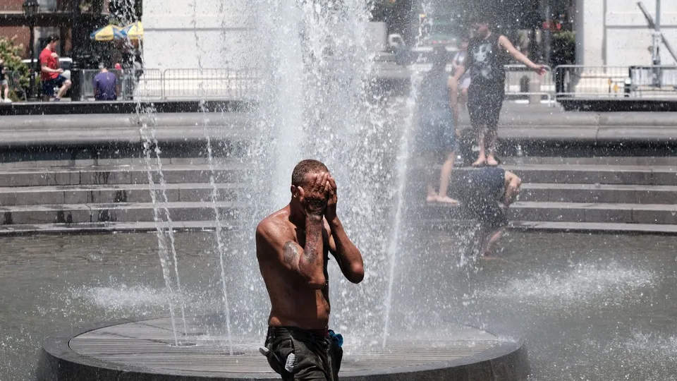 (Image Courtesy- New York Times)