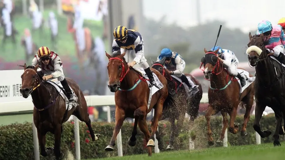 horse race.jpg