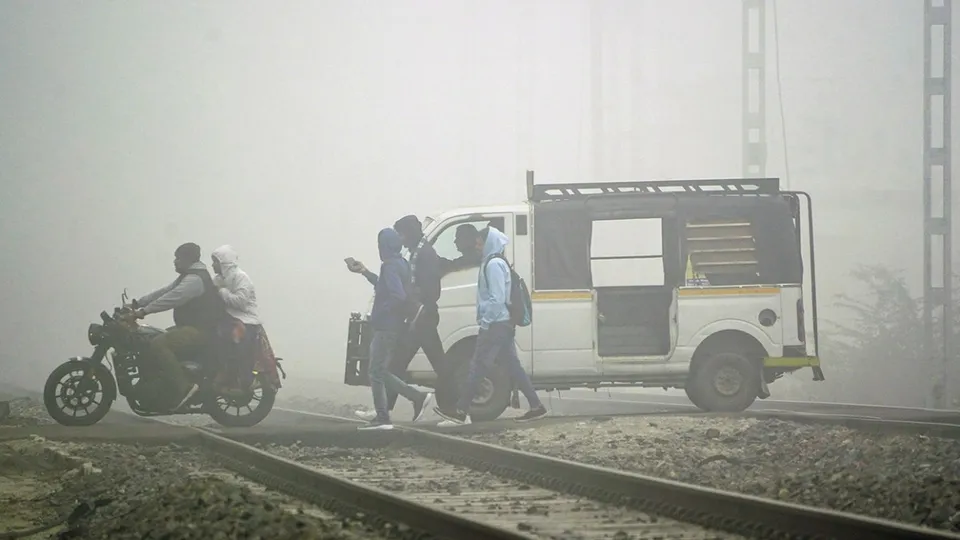 Rajastha Fog Delhi Weather Cold Winter Rain
